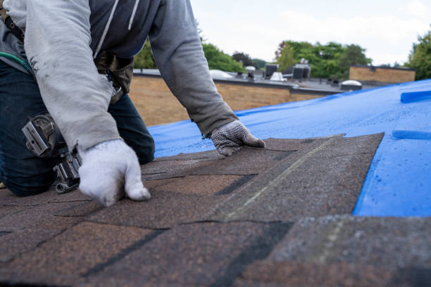 Best Commercial Roof Installation  in Archbold, OH