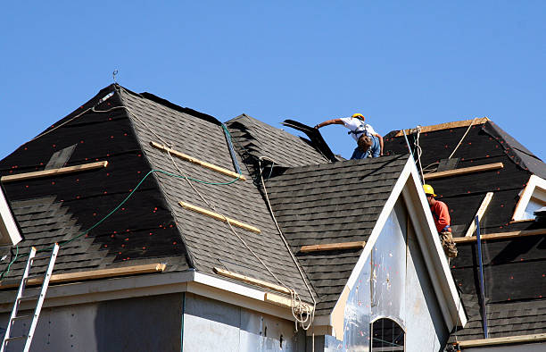 Best Storm Damage Roof Repair  in Archbold, OH